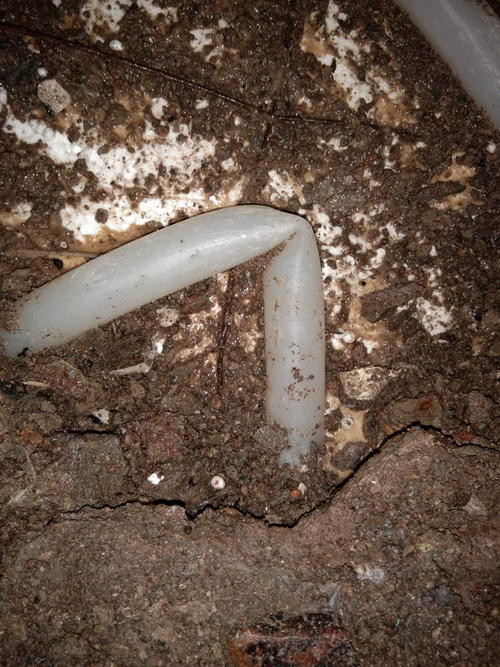 冠县堵点精准查找